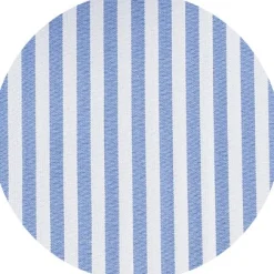 Blue Slim Fit Striped Formal Shirt - Single Cuff