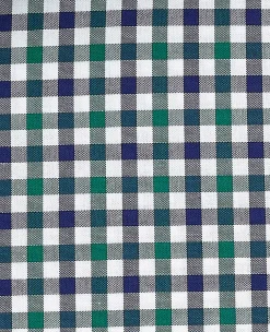 Green Blue Poplin Gingham Check Slim Fit Casual Shirt