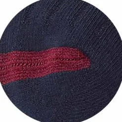 Navy Cotton Rich Three Pack Socks