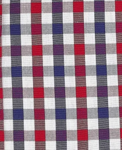 Red Blue Poplin Gingham Check Slim Fit Casual Shirt